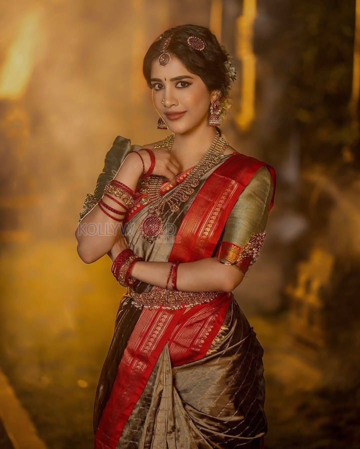 Beautiful Nabha Natesh Ethnic Saree Photoshoot Pictures 06