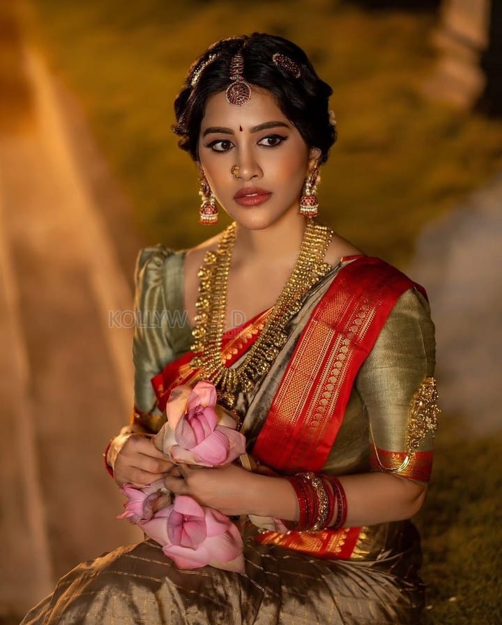 Beautiful Nabha Natesh Ethnic Saree Photoshoot Pictures 07