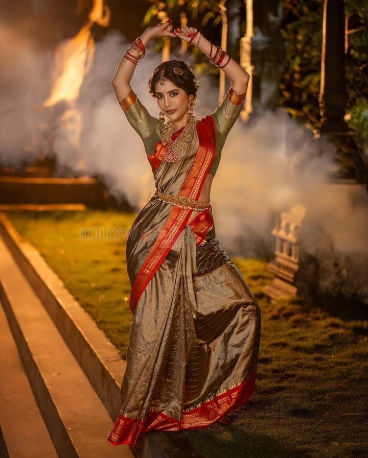Beautiful Nabha Natesh Ethnic Saree Photoshoot Pictures 08