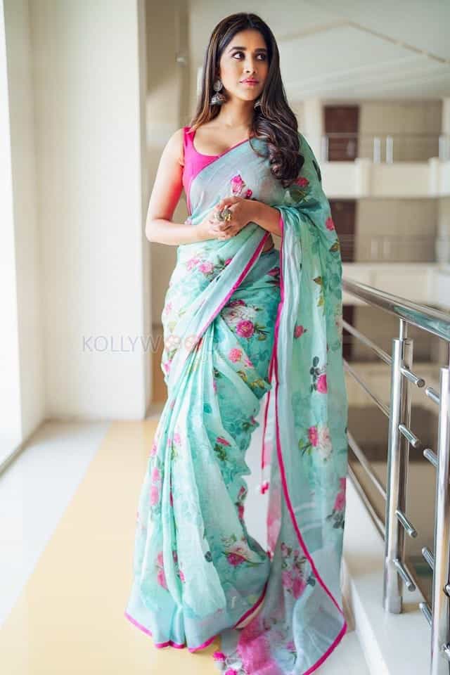 Beautiful Nabha Natesh In Saree Photos