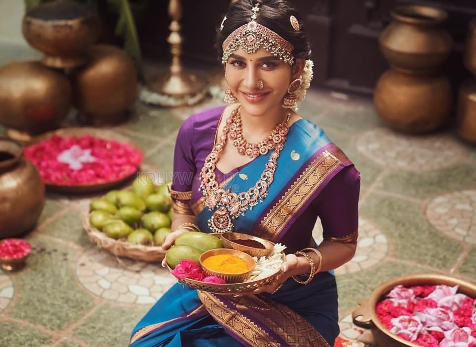 Beautiful Nabha Natesh in a Traditional Blue and Purple Saree for Ugadi Photoshoot Pictures 06