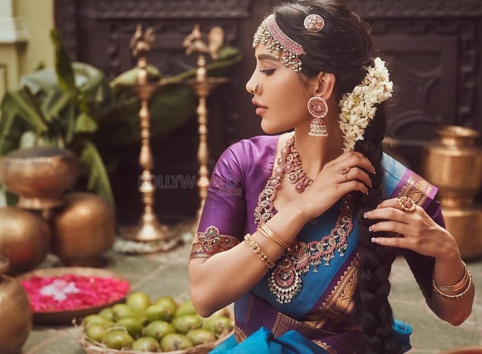 Beautiful Nabha Natesh in a Traditional Blue and Purple Saree for Ugadi Photoshoot Pictures 08