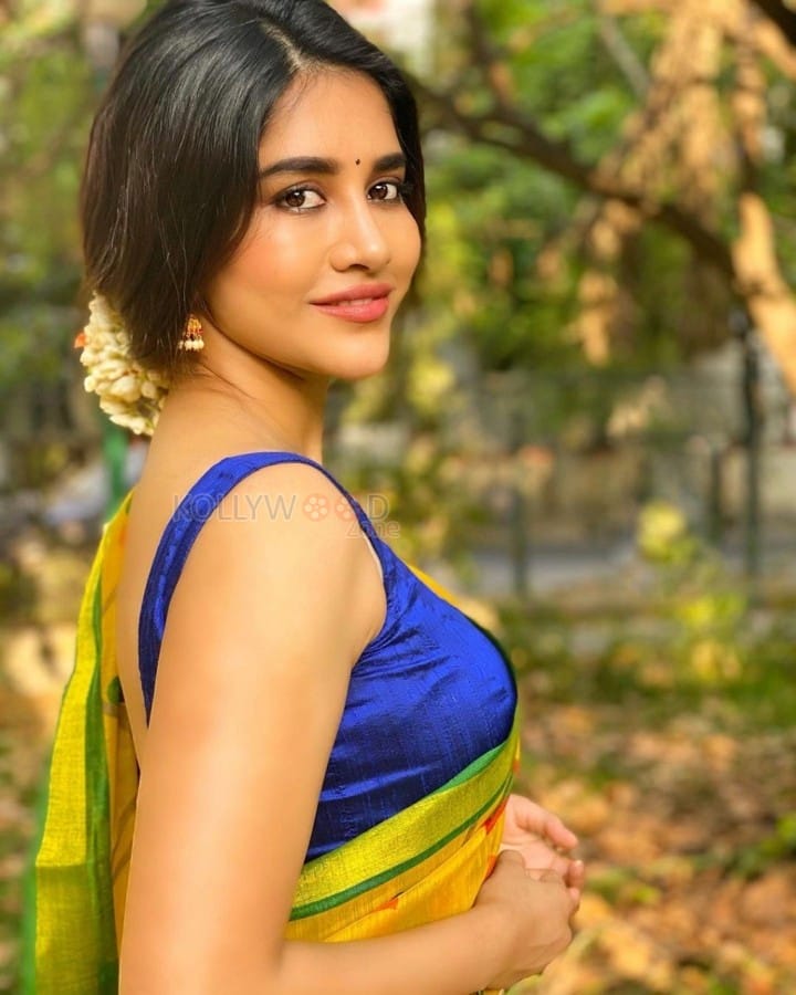 Beautiful Nabha Natesh in a Yellow Floral Printed Saree with a Strapless Blouse Photos 01