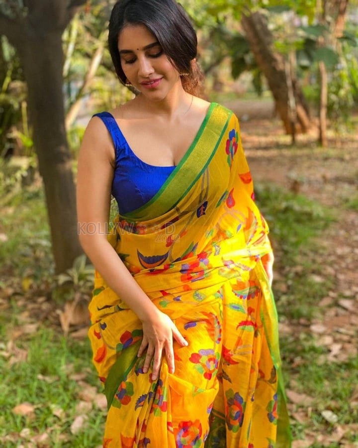 Beautiful Nabha Natesh in a Yellow Floral Printed Saree with a Strapless Blouse Photos 07