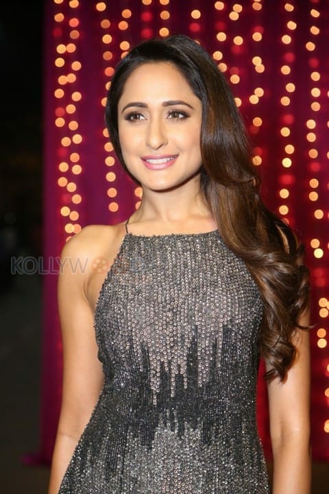 Beautiful Pragya Jaiswal Photos