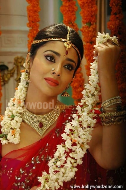 Beautiful Shriya Saran Chandra Movie Photos