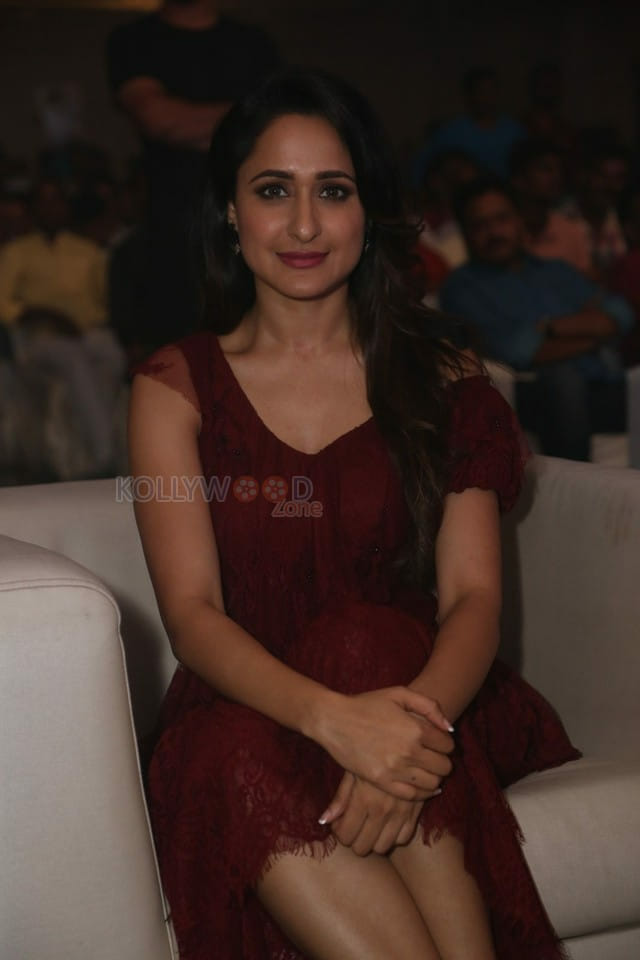 Beautiful Telugu Actress Pragya Jaiswal Pictures