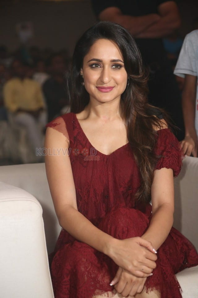 Beautiful Telugu Actress Pragya Jaiswal Pictures