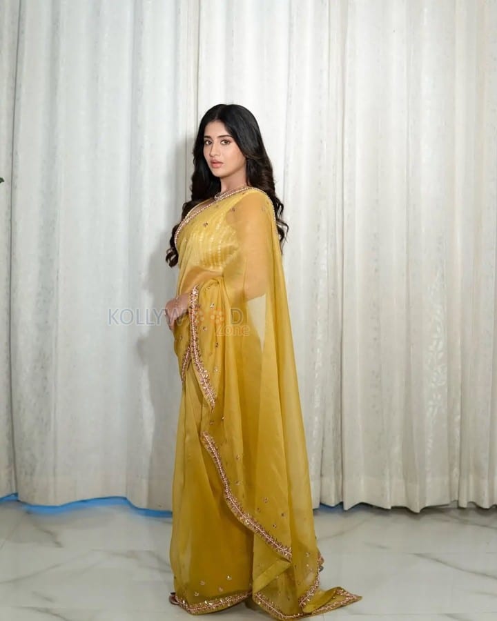 Bold and Beautiful Rashi Singh in a Yellow Saree Photos 03