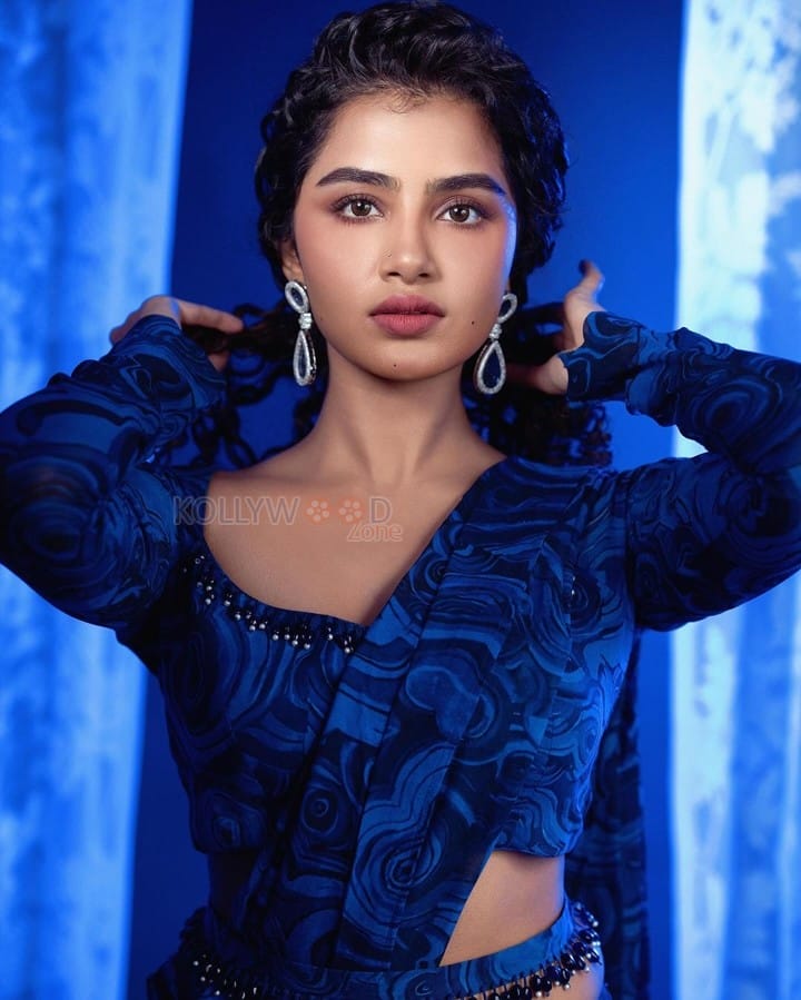 Charming Anupama Parameswaran in a Blue And Black Printed Saree Pictures 05