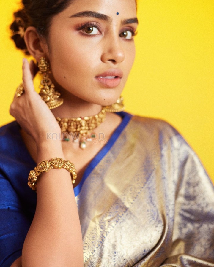 Curly Beauty Anupama Parameswaran in a Blue and Silver Silk Saree with a Blue Blouse Photos 04