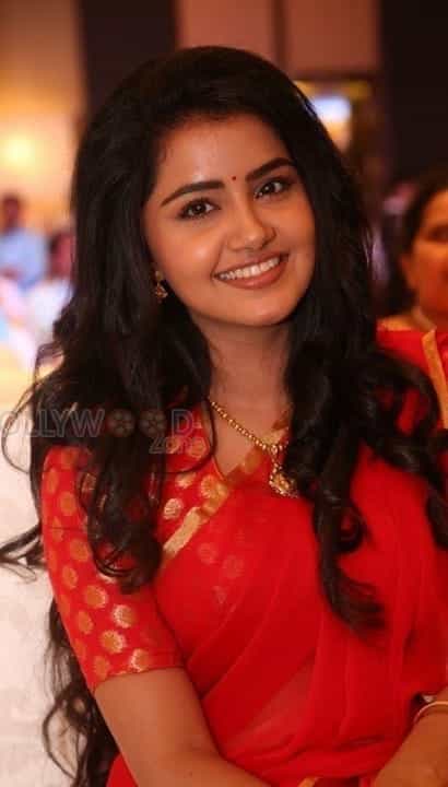 Cute Actress Anupama Parameshwaran Pictures