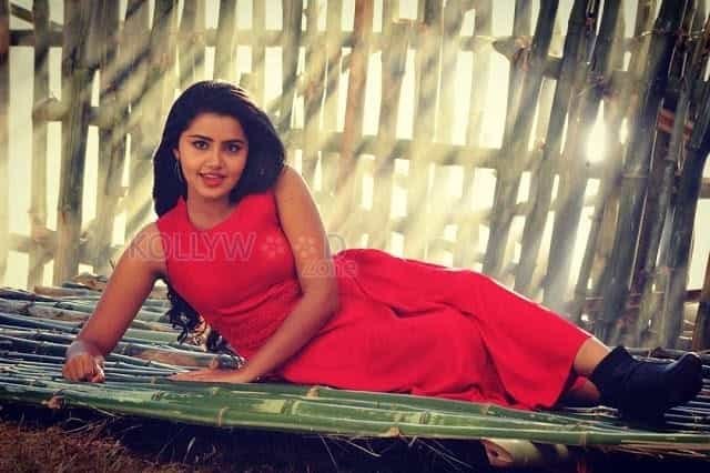 Cute Anupama Parameswaran Photos