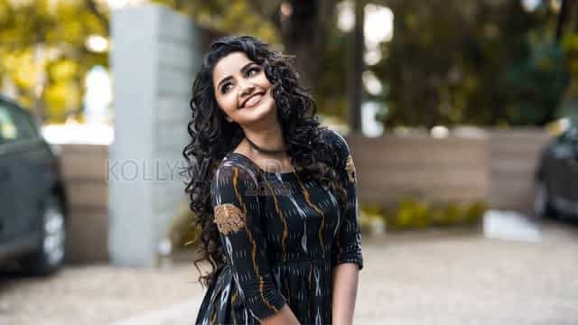 Cute Anupama Parameswaran Photos