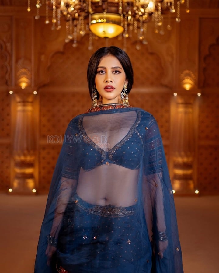 Dazzling Nabha Natesh in a Royal Blue Embroidered Lehenga Photos 08