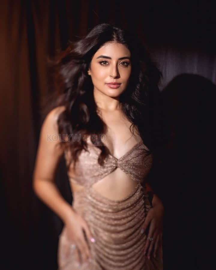 Glamorous Kritika Kamra in a Shimmery Cut Out Dress With Plunging Neckline Photos 03