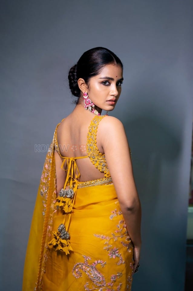 Gorgeous Anupama Parameswaran in a Yellow Printed Saree with a Sleeveless and Backless Blouse Photos 01