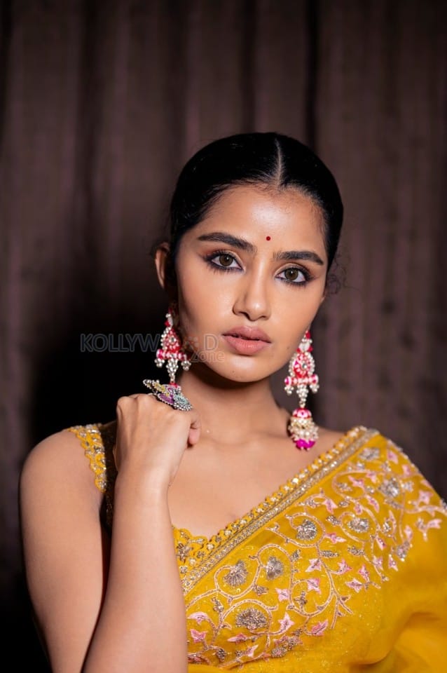 Gorgeous Anupama Parameswaran in a Yellow Printed Saree with a Sleeveless and Backless Blouse Photos 03