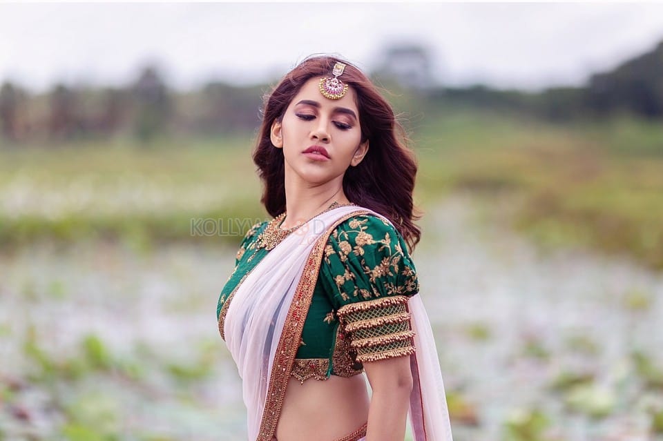 Gorgeous Nabha Natesh Green Half Saree Photos 04