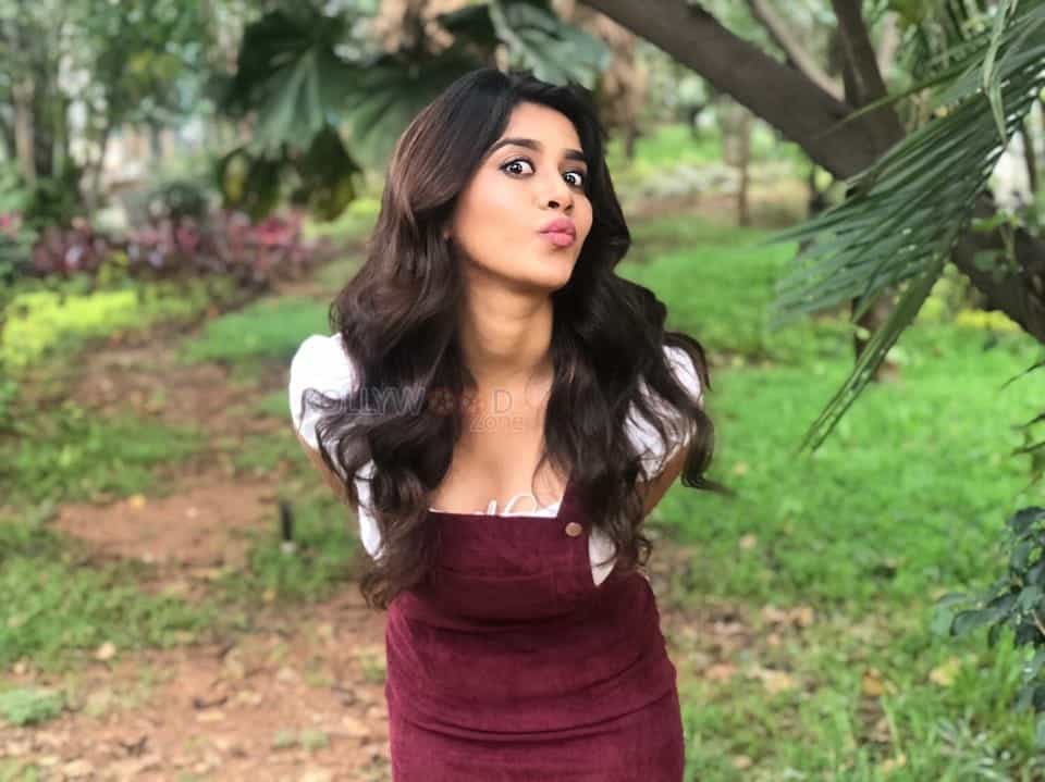 Gorgeous Nabha Natesh Photos