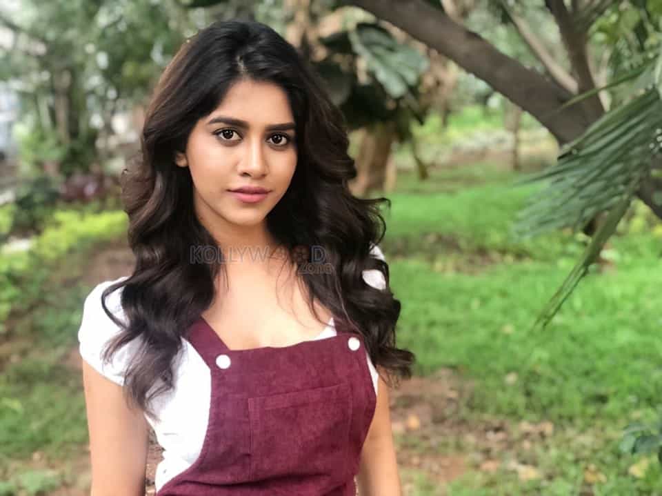 Gorgeous Nabha Natesh Photos