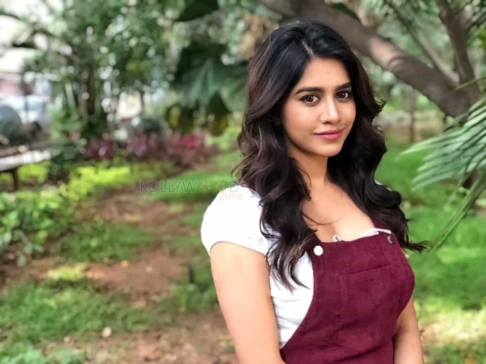 Gorgeous Nabha Natesh Photos