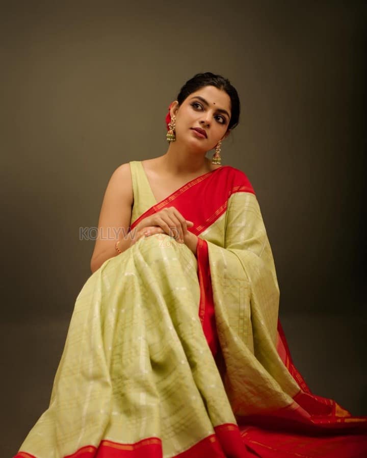 Gorgeous Nikhila Vimal in a Pastel Colored Checkered Saree Photos 02