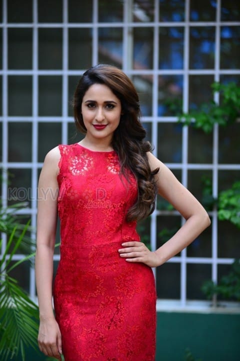 Gunturodu Heroine Pragya Jaiswal Photos