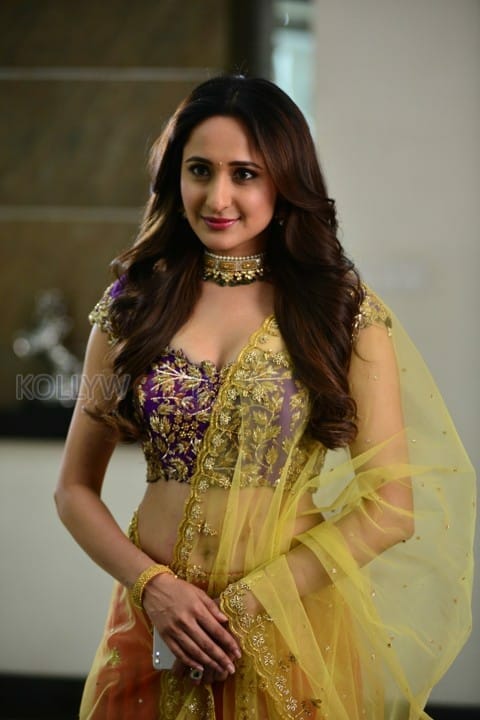 Gunturodu Heroine Pragya Jaiswal Photos