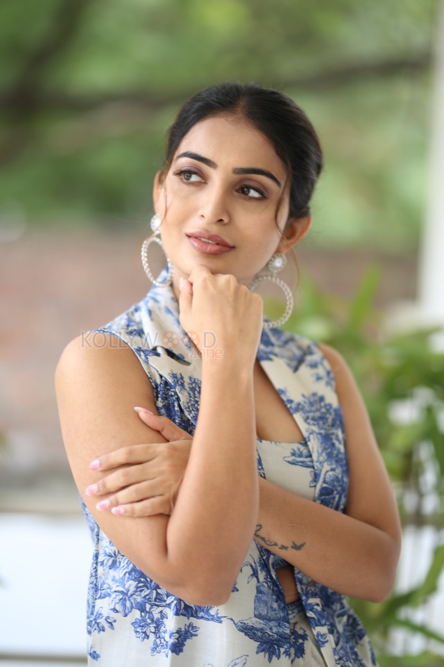 Heroine Ananya Nagalla at Pottel Movie Interview Photos 14