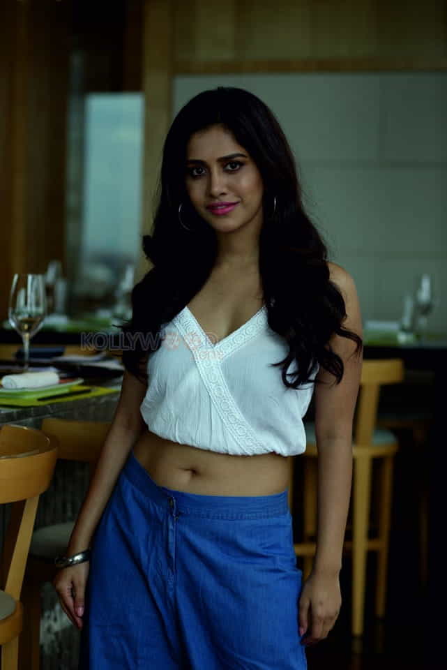 Heroine Nabha Natesh Beautiful Photos