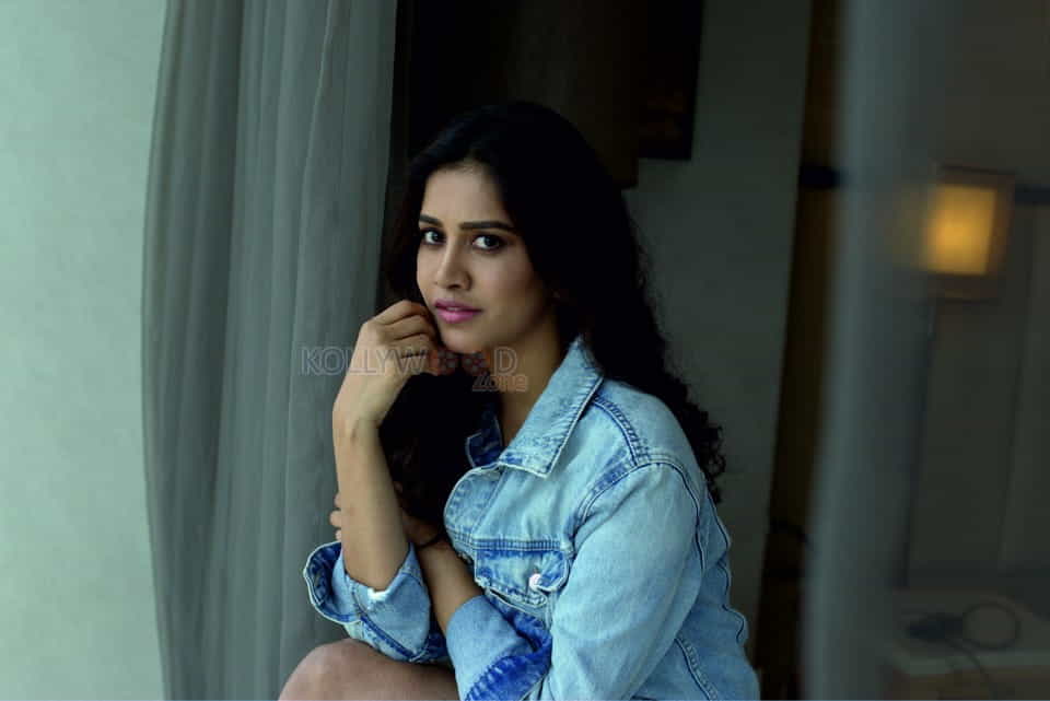 Heroine Nabha Natesh Beautiful Photos