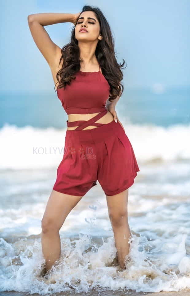 Heroine Nabha Natesh In Beach Photos