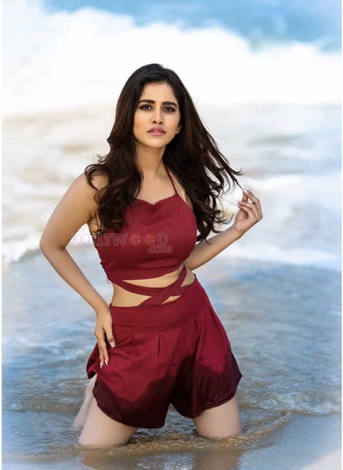 Heroine Nabha Natesh In Beach Photos