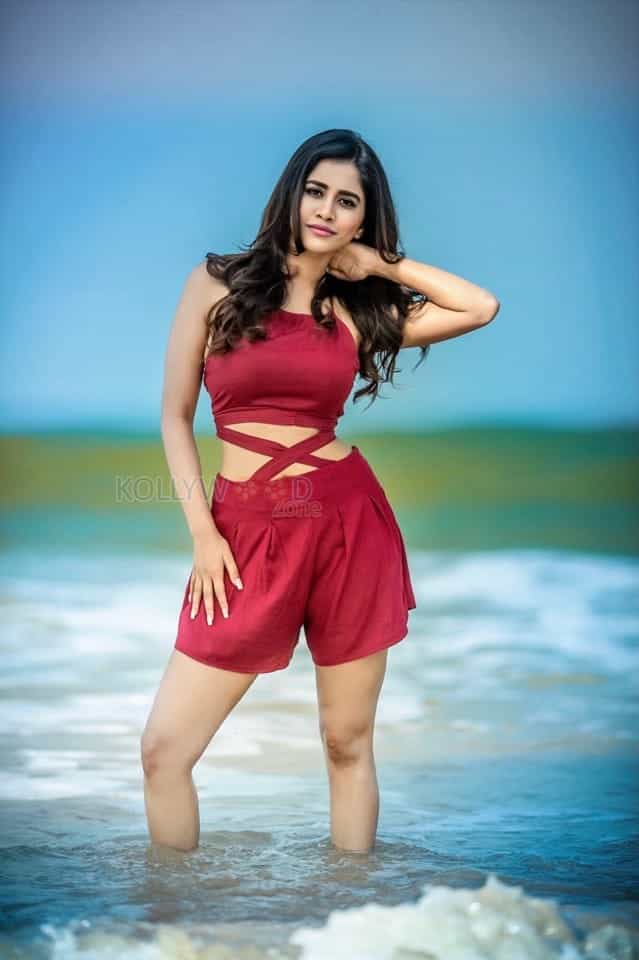 Heroine Nabha Natesh In Beach Photos