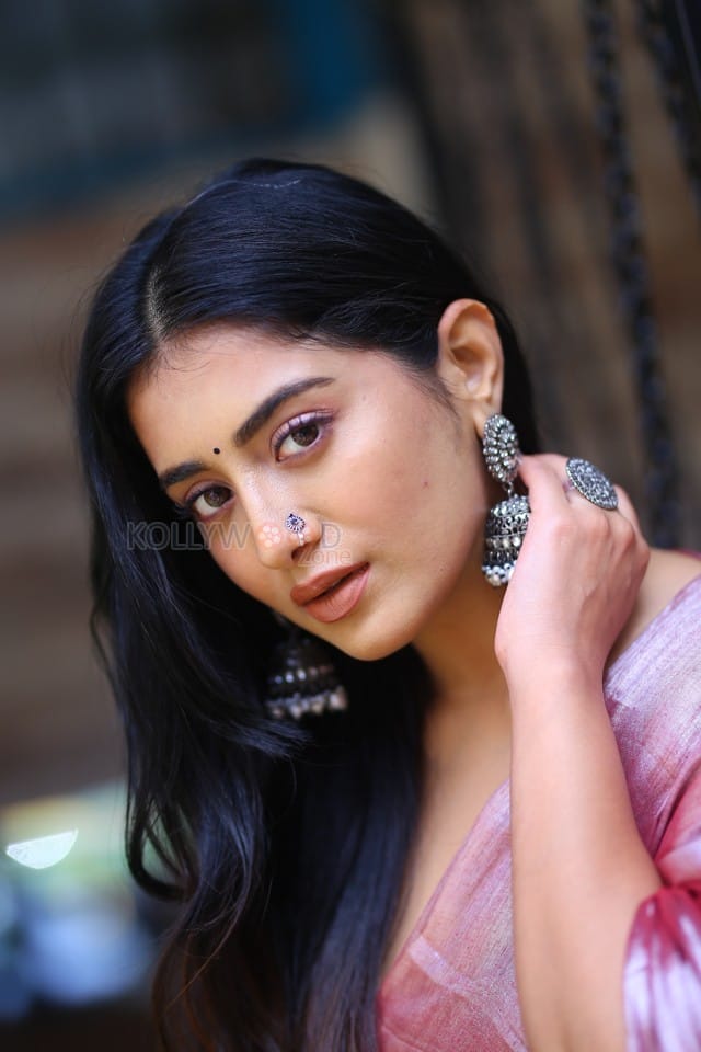 Heroine Rashi Singh at Bhoothaddam Bhaskar Narayana Interview Photos 16