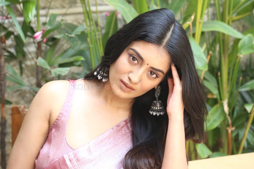 Heroine Rashi Singh at Bhoothaddam Bhaskar Narayana Interview Photos 45