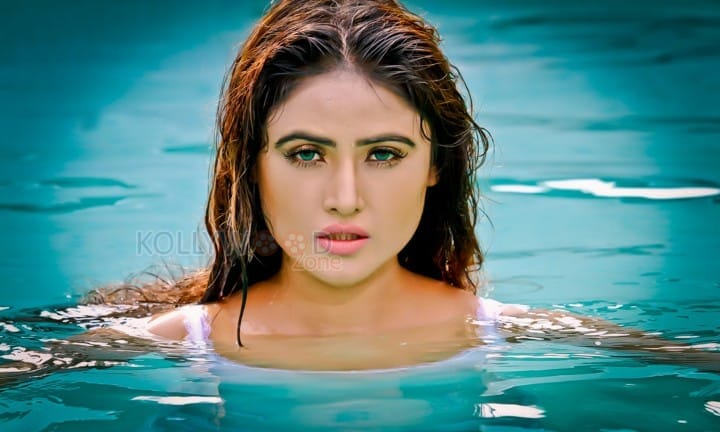 Hot Actress Sony Charishta Wet Photos