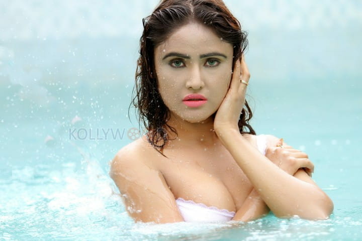 Hot Actress Sony Charishta Wet Photos