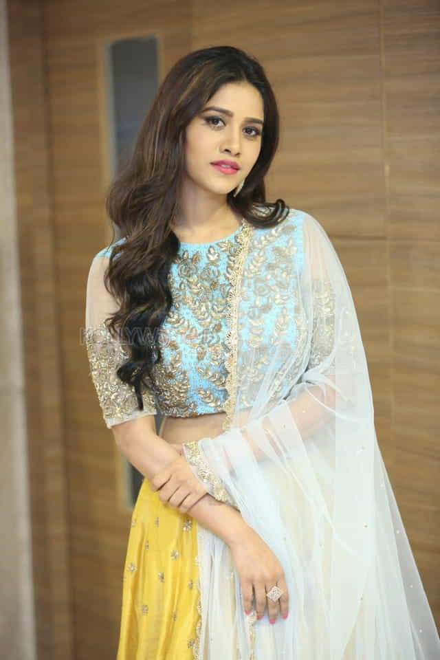 Kannada Actress Nabha Natesh Pictures