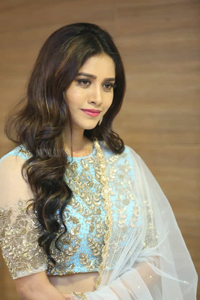 Kannada Actress Nabha Natesh Pictures