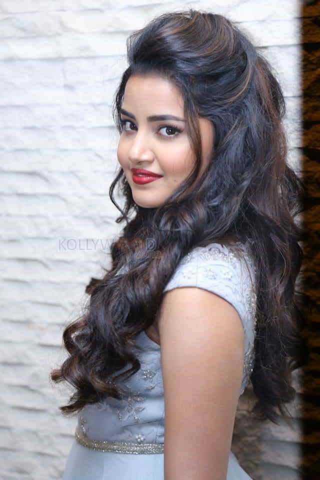 Malayalam Actress Anupama Parameswaran New Pictures