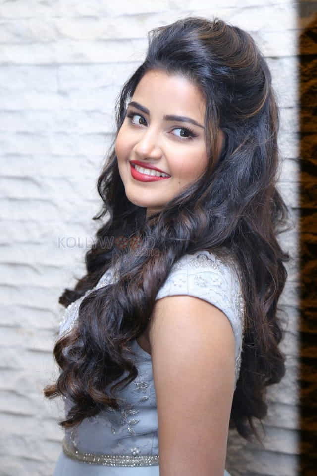 Malayalam Actress Anupama Parameswaran New Pictures