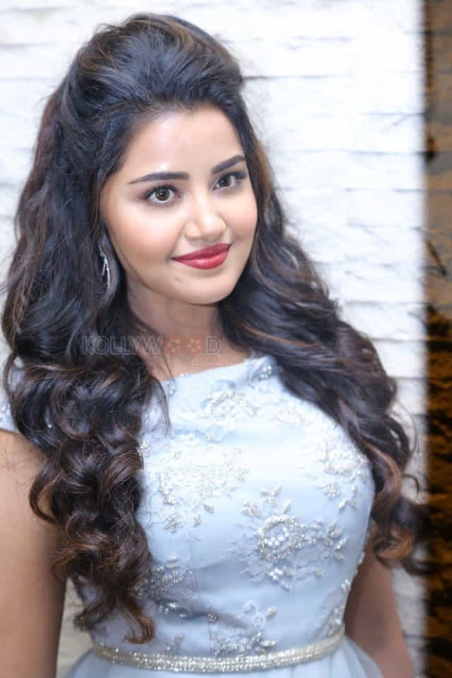 Malayalam Actress Anupama Parameswaran New Pictures