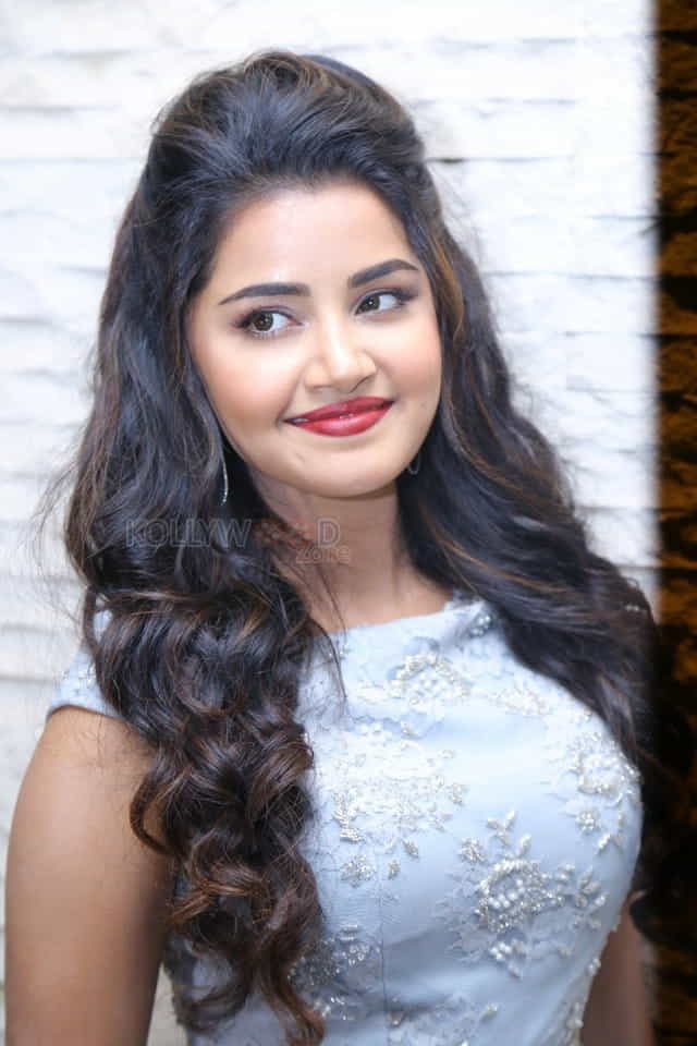 Malayalam Actress Anupama Parameswaran New Pictures