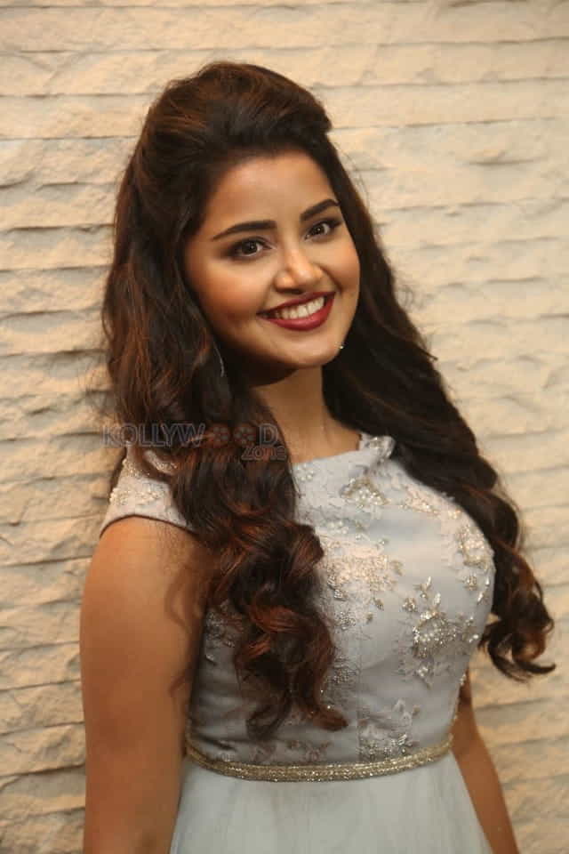 Malayalam Actress Anupama Parameswaran New Pictures