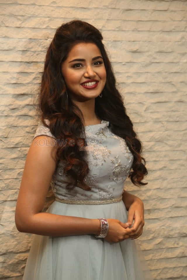 Malayalam Actress Anupama Parameswaran New Pictures