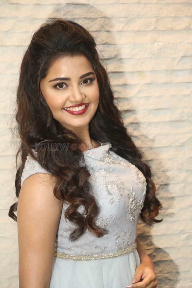 Malayalam Actress Anupama Parameswaran New Pictures