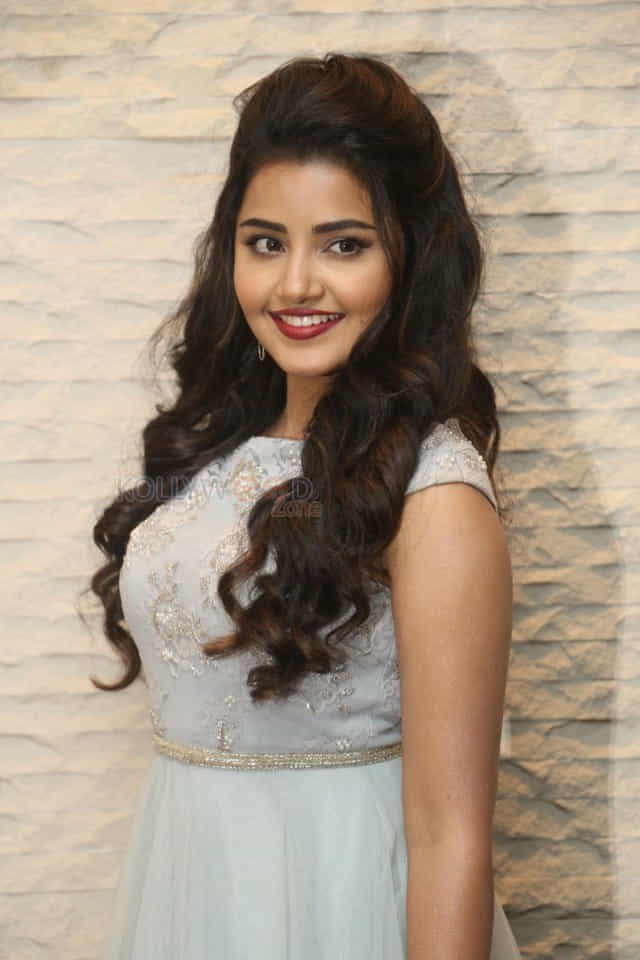 Malayalam Actress Anupama Parameswaran New Pictures