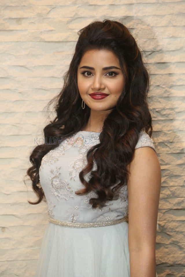 Malayalam Actress Anupama Parameswaran New Pictures